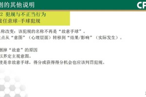  意甲新规引争议，VAR判定标准遭炮轰  